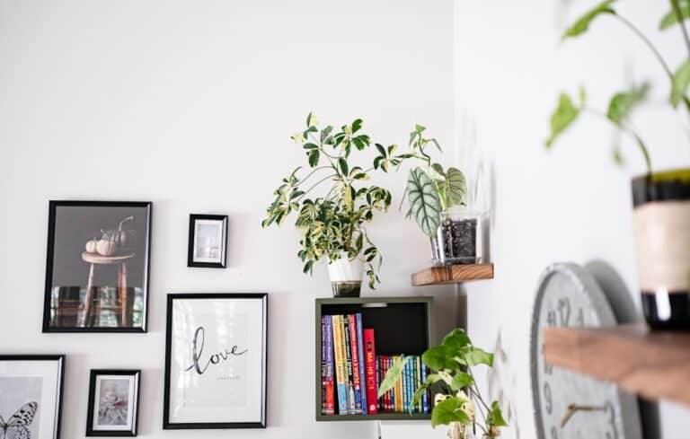 indoor plants decor ideas