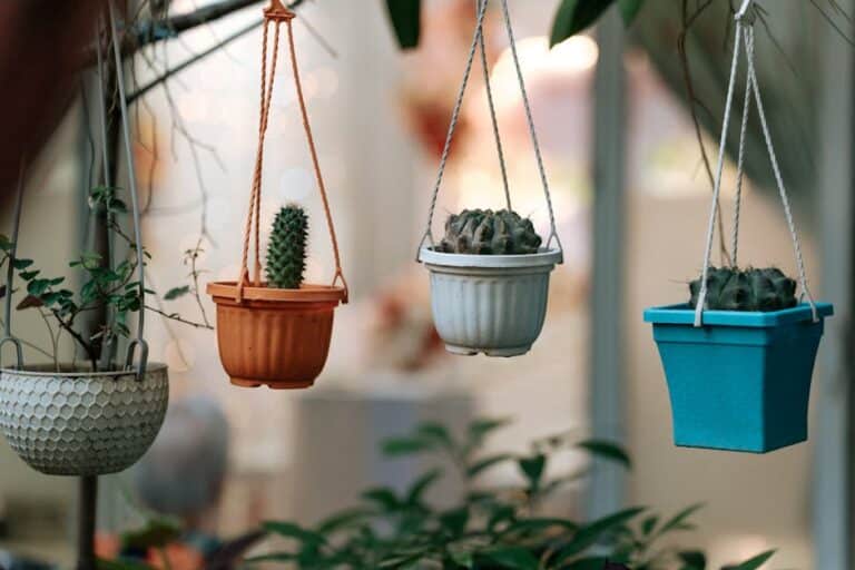 ideas for plant pots indoor