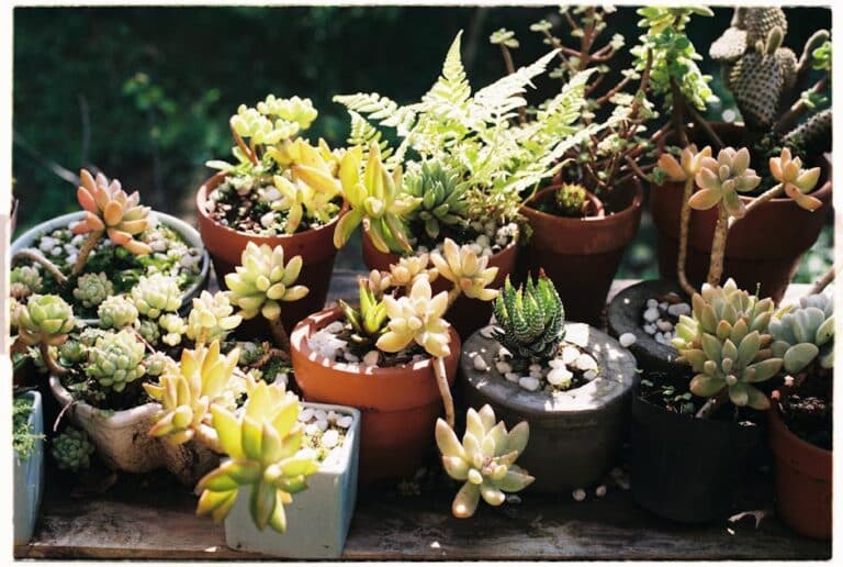heat tolerant drainage planters
